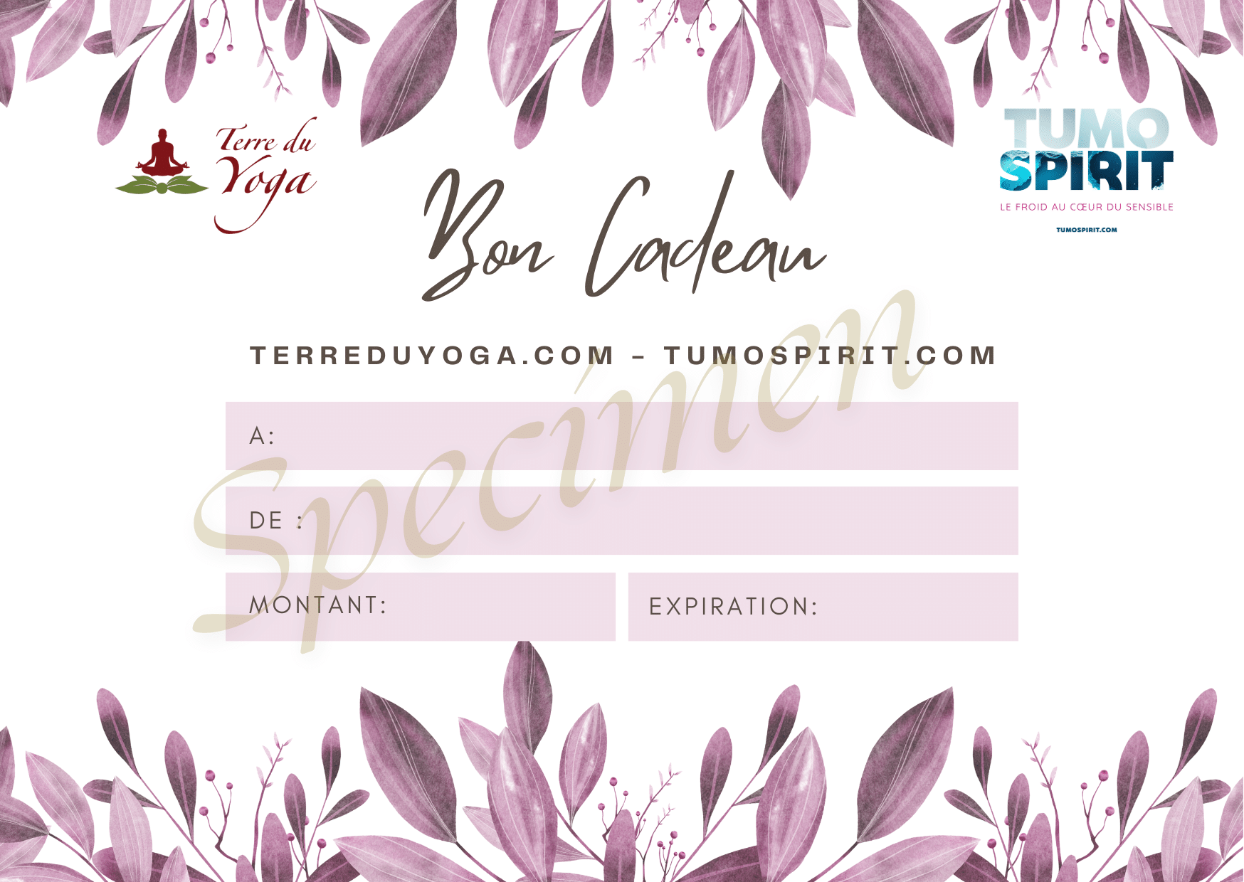 Bon cadeau accordé à la somme de votre choix!