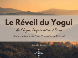 Réveil du Yogui Nerf Vague
